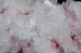 Pink Halite Crystal Plate - Trona, California #61049-2